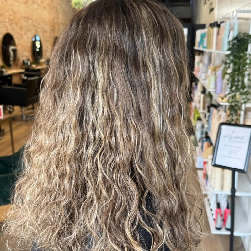 Natural Curly Highlights