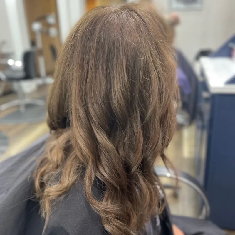 Brunette Cut + Blowdry